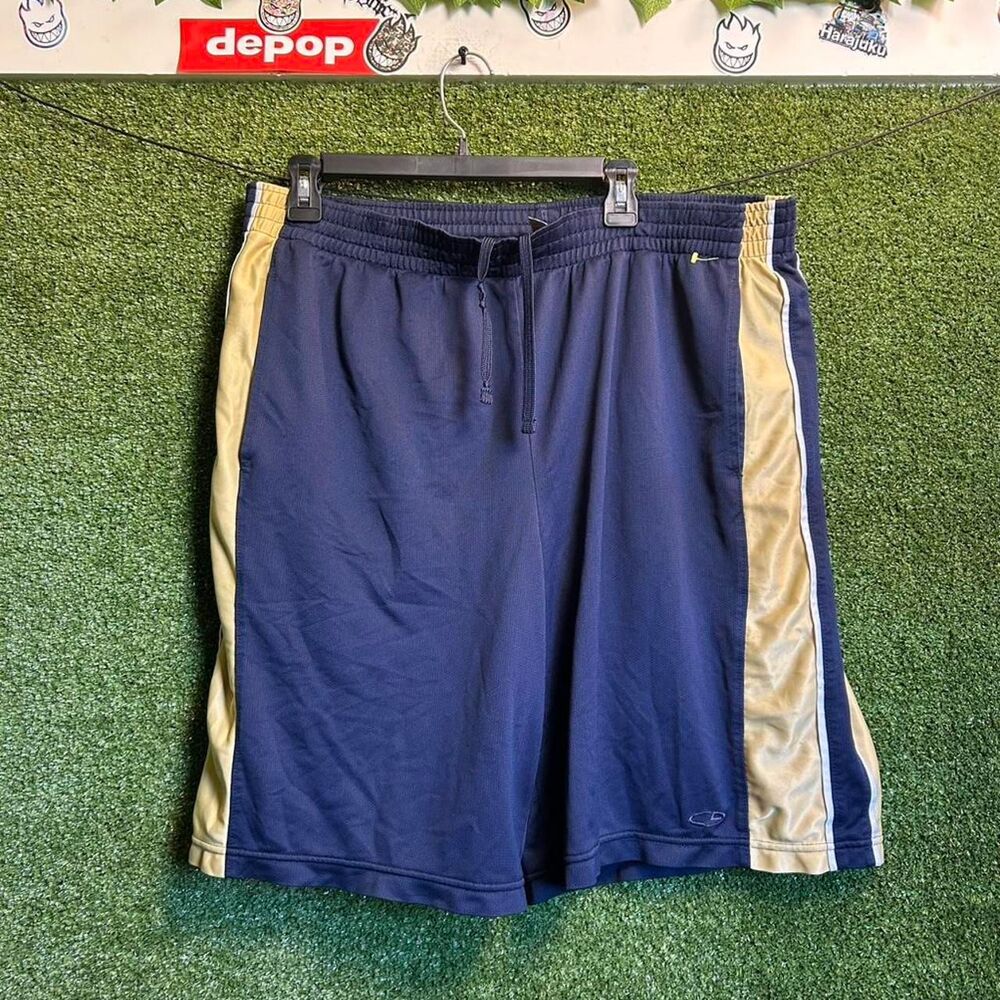 Champion Men's Navy and Blue Shorts